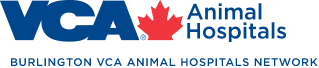 Burlington VCA Animal Hospitals Network
